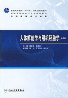 北京大学医学部人体解剖学与组织胚胎学视频共23讲