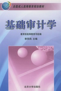 西北工业大学基础审计学48讲视频
