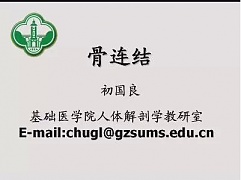 中山大学人体解剖学