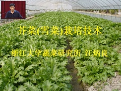 浙江大学蔬菜种植与管理技术