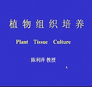 浙江大学植物组织培养
