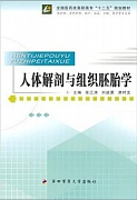 中国医科大学人体组织学与胚胎学视频共42讲