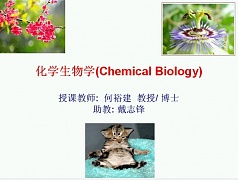 中科院化学生物学视频共42讲