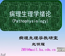 郑州大学病理生理学视频共37讲